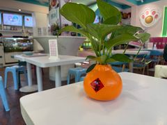 -梁子刨冰王&梁小糖(王顶堤店)