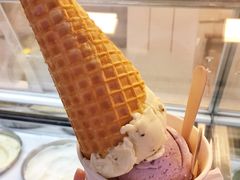 -歎雪糕低糖低脂Gelato冰淇淋