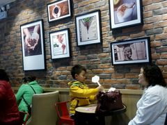 大堂-85度C(苏州石路店)