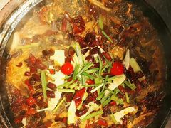 -老板恋上鱼(恒隆广场店)