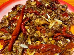 -柴窝堡22号辣子鸡·传承新疆菜