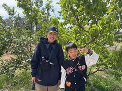 -乌素图国家森林公园