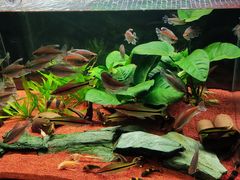 -太平洋海底世界