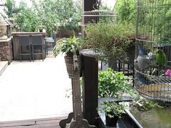 户外露天花园-上海外滩中星君亭酒店