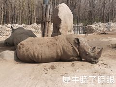 -北京野生动物园