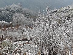 -四明山国家森林公园