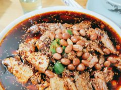 凉拌鸡-老字号怡玺·藿香雅鱼(20年雅安店)