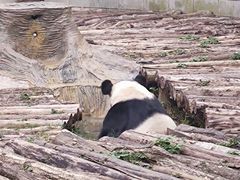 -南昌动物园