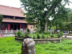 -苏州文庙(姑苏区)