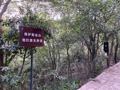 -紫金山山顶公园