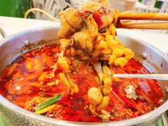 鲜活牛蛙-蛙两只美蛙鱼头火锅(恒茂店)