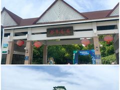 -上海都市菜园