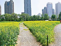 -长白岛森林公园
