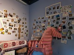 -喵屿·大理花园猫咖