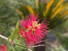 -上海植物园-4号门售票处