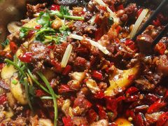 -食神又名厕所兔