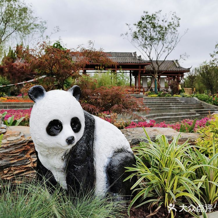 2021年第十届花博会在上海开幕啦❗❗