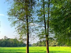 -南宁良凤江国家森林公园