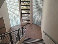 -香港大学