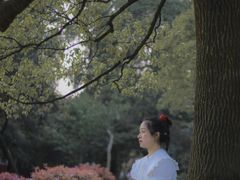 -南山植物园