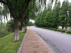 -太阳岛度假酒店