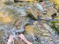 -广州白江湖森林公园