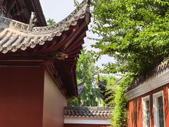-长春观