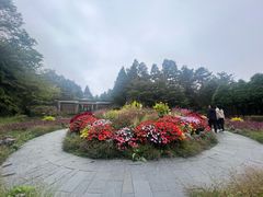 -庐山风景区花径公园