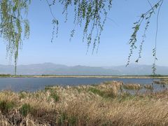 -野鸭湖国家湿地公园