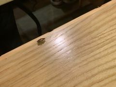 -四季合味椰子鸡(南山大冲店)