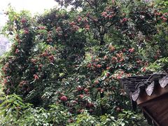 -楠溪江风景名胜区