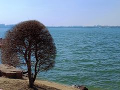 -丁香湖公园