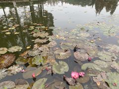 -河泥荡文化公园