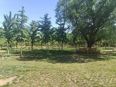 -永定河休闲森林公园