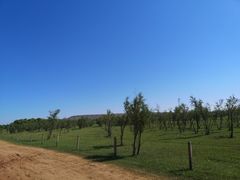-苏泊罕大草原旅游景区