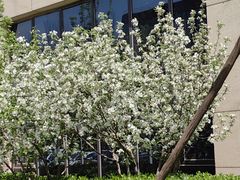 -中关村生命科学园