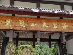 -武陵山森林公园
