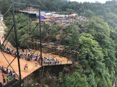 -梦幻奥陶纪景区