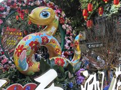 -越秀西湖花市(广州城市广场花卉店)