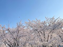 -龙美术馆(西岸馆)