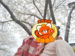 -玉山公园