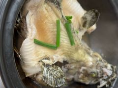-ZF Seafood Restaurant 卓峰海鲜餐