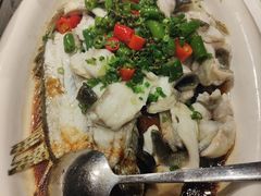 -陶缘一号·四季缘·老字号顺德菜·户外婚礼家宴(西滘店)