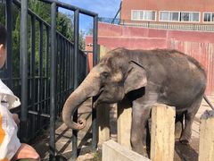 -大连森林动物园