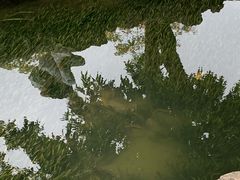 -荔枝公园(福田区)