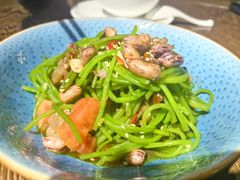 凉拌水性杨花-熙楼(翠湖店)