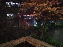-活水公园
