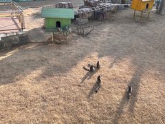 -无锡动物园·太湖欢乐园