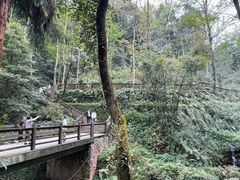 -青城山