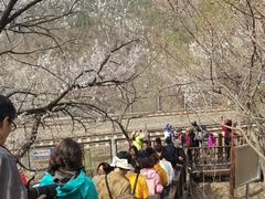 -居庸关长城-2号停车场